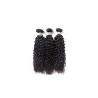 Kinky Curly - 3 Bundles Deal